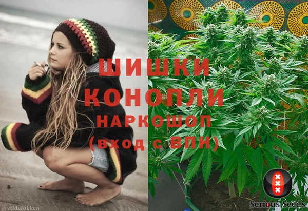 PSILOCYBIN Кодинск