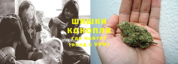 PSILOCYBIN Кодинск