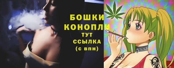 эйфоретик Козловка