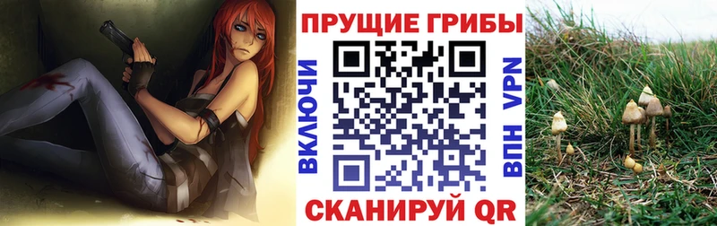 Купить закладки  Кизел  Галлюциногенные грибы Cubensis 